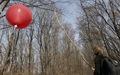 Strollology – Wiener Neustädter Kanal